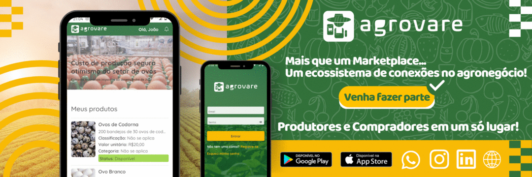 Agrovare - Temos um hub de conexões para quem produz ou compra produtos ou serviços do agronegócio.