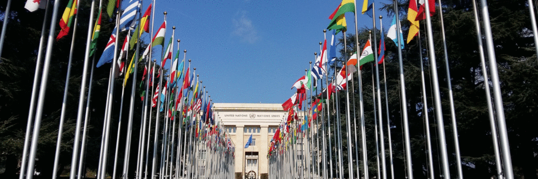 Shot: ODS da ONU: sua empresa atende algum dos objetivos estabelecidos?