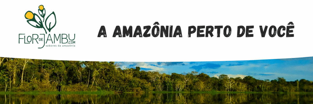 Conectando a Amazônia a todos os brasileiros